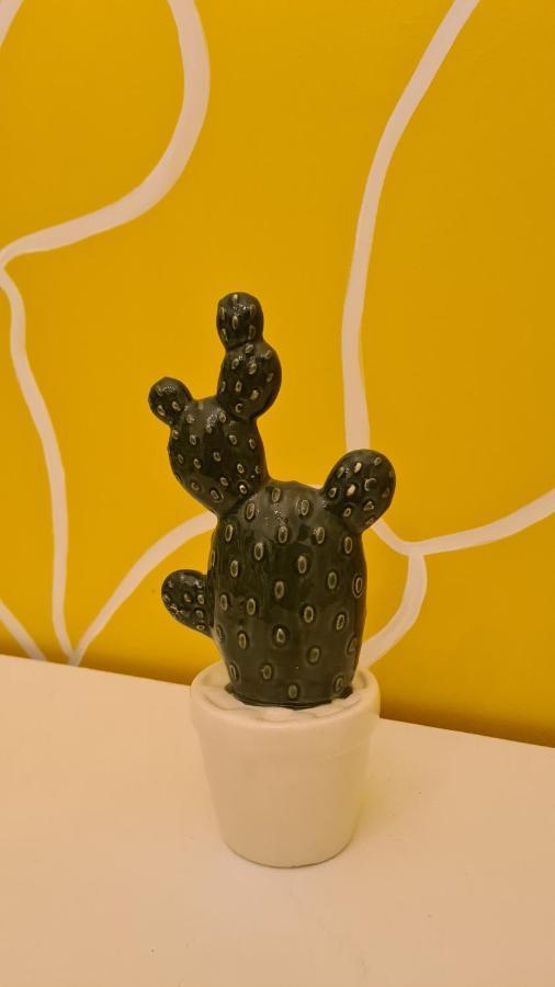 Casa Cactus
